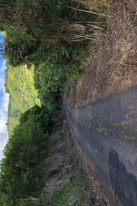 road oahu