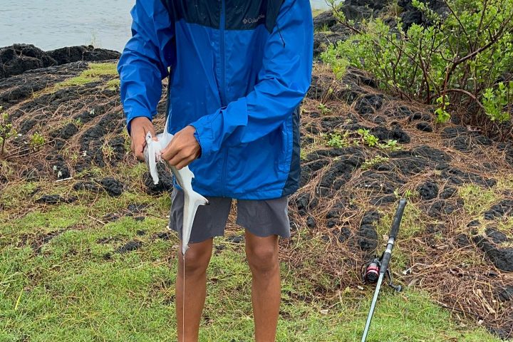 Person in blue jacket holding fish near water's edge with fishing rod on ground.