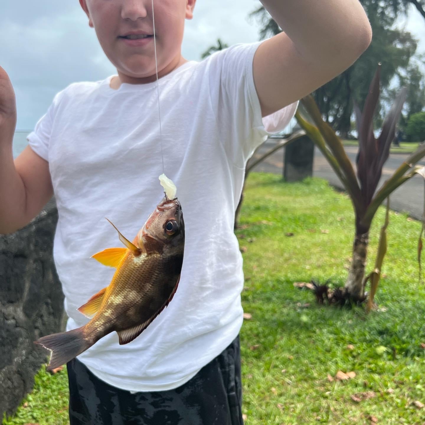 Child holding a fishing line with a small fish outdoors.