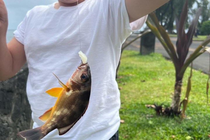 Child holding a fishing line with a small fish outdoors.