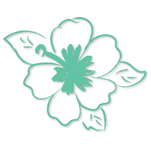 Untitled design – 2025-08-19T074836.090 Turquoise outline of a hibiscus flower with leaves.